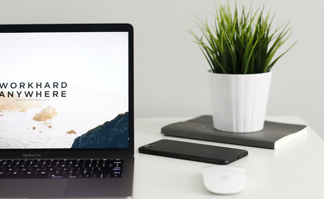 Web Development - Best Practices